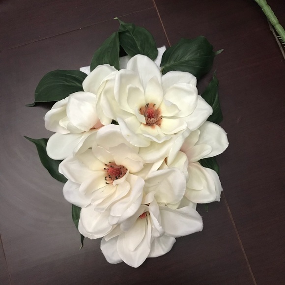 Meet your Posher, Carmen - Picture 1 of 1